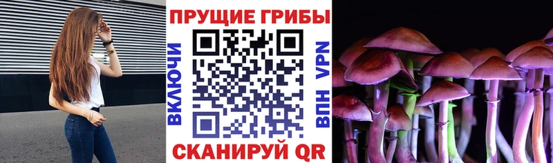 Галлюциногенные грибы мухоморы  Карабаш 