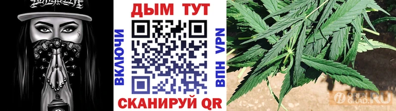 Бошки марихуана индика Карабаш